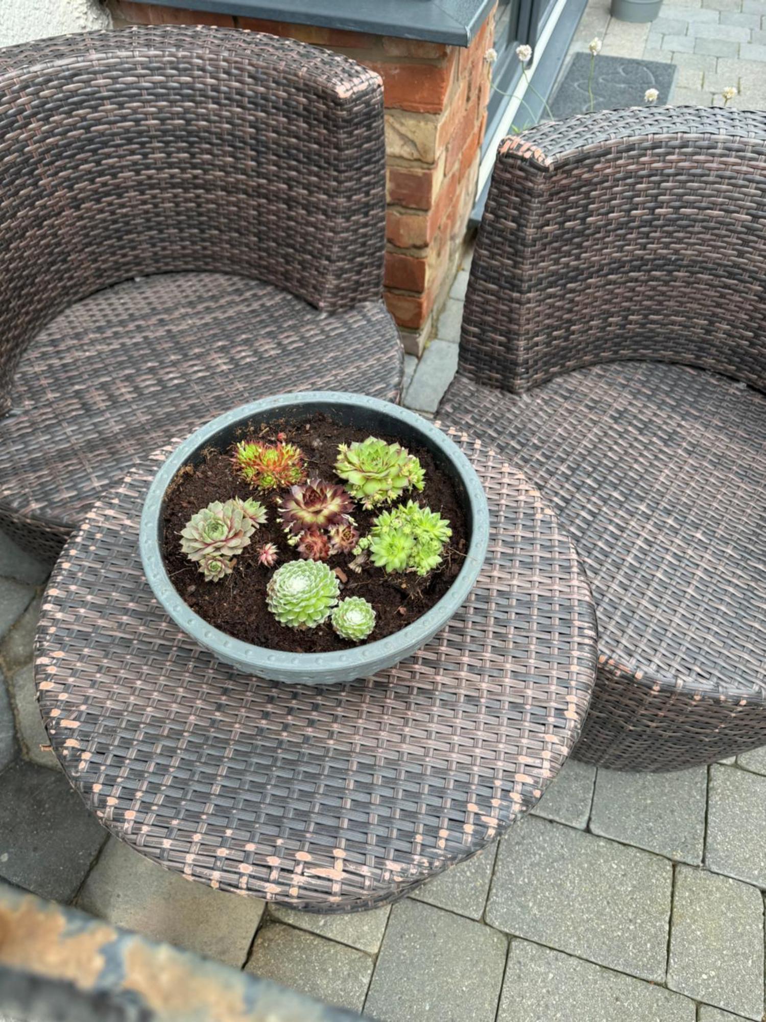 Beach House Apartment On Ground Floor With Sea View - Pet Friendly Cleveleys Kültér fotó